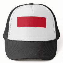 Indonesia Flag hats