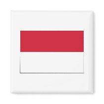 Indonesia FLAG International magnets