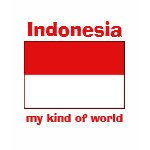 Indonesia Flag Map Text Ladies Baby Doll