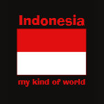 Indonesia Flag Map Text Ladies Baby Doll