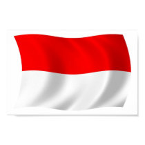 Indonesia Flag Poster Print