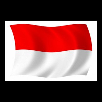 Indonesia Flag Poster Print