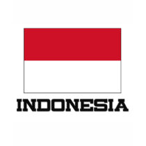 Indonesia Flag t-shirts by tshirtshirts Indonesia Flag t-shirts