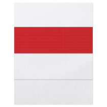 Indonesia National Flag flyers