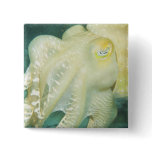 Indonesia, South Sulawesi Province, Wakatobi 2 Button
