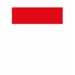Indonesia T-shirt
