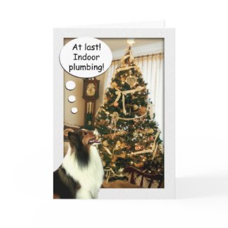 Indoor Plumbing Card