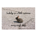 Indulge In Cuteness Poster posters