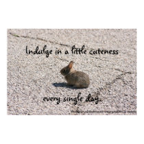 Indulge In Cuteness Poster posters by sweetnessphotography Indulge In Cuteness Poster posters