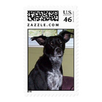 Indy postage