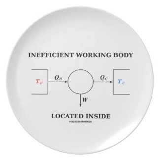 Inefficient Working Body Located Inside Physics Party Plate