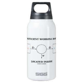 Inefficient Working Body Located Inside Physics SIGG Thermo 0.3L Insulated Bottle