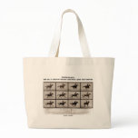 Infamous Bet 4 Legs Sallie Gardner Leave Ground bags