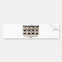 Infamous Bet 4 Legs Sallie Gardner Leave Ground Bumper Sticker