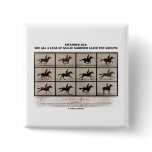 Infamous Bet 4 Legs Sallie Gardner Leave Ground buttons