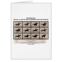 Infamous Bet 4 Legs Sallie Gardner Leave Ground Cards