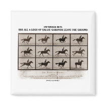 Infamous Bet 4 Legs Sallie Gardner Leave Ground Magnet