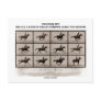 Infamous Bet 4 Legs Sallie Gardner Leave Ground Postcards