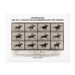 Infamous Bet 4 Legs Sallie Gardner Leave Ground Postcards