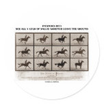 Infamous Bet 4 Legs Sallie Gardner Leave Ground Sticker