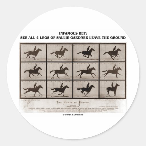 Infamous Bet 4 Legs Sallie Gardner Leave Ground Round Stickers