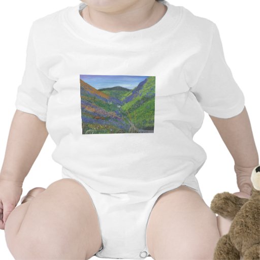 Infant Creeper - Spring Time in the Mountains