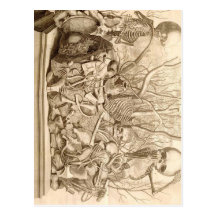 Infant Scavengers Post Cards