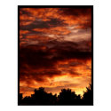 Infernal Sky posters
