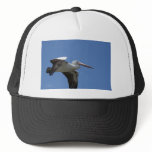 Infight movie is... hats