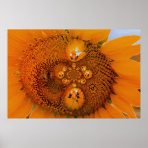 Infinite Sunflower Poster