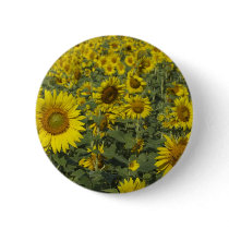 infinite sunflowers buttons