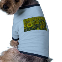 infinite sunflowers pet clothing