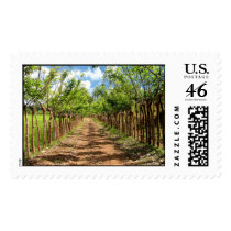 Infinity & Beyond postage