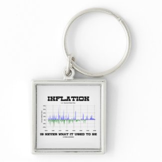 Inflation Is Never What It Used To Be (Economics) keychain