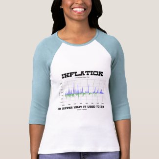 Inflation Is Never What It Used To Be (Economics) shirt