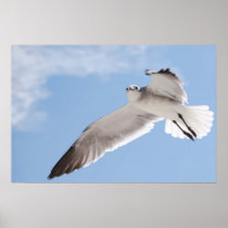 inflight poster