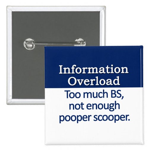 Information Overload Definition Pinback Button Zazzle