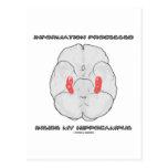 Information Processed Inside My Hippocampus Post Cards