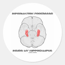 Information Processed Inside My Hippocampus Sticker