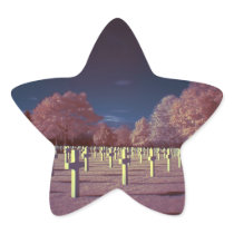 Infrared American Cemetery Crosses Star Sticker