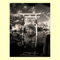 Infrared Garden Photograph posters