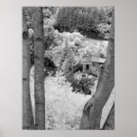 Infrared Hell's Gate Airtram British Columbia posters