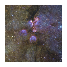 Infrared Image of the Cat's Paw Nebula NGC 6334 Gallery Wrap Canvas