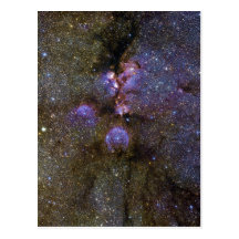 Infrared Image of the Cat's Paw Nebula NGC 6334 Post Card