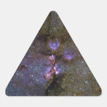Infrared Image of the Cat's Paw Nebula NGC 6334 Triangle Sticker