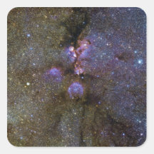 Infrared Image of the Cat's Paw Nebula NGC 6334 Sticker