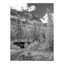 Infrared Mount Robson BC Poster posters