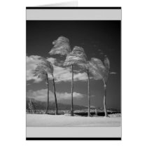 Infrared Palms cards by kudbegud Infrared Palms cards
