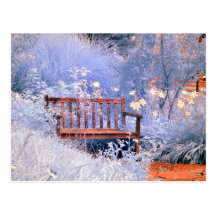 Infrared Park Bench Postcards