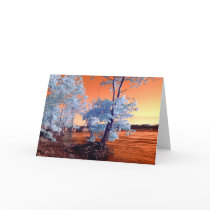 Infrared riverscape cards by deemac1 Infrared riverscape cards